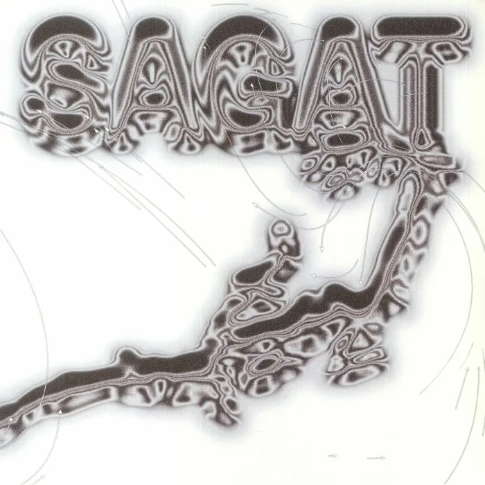 Лицевая сторона обложки — SAGAT — Silver Lining