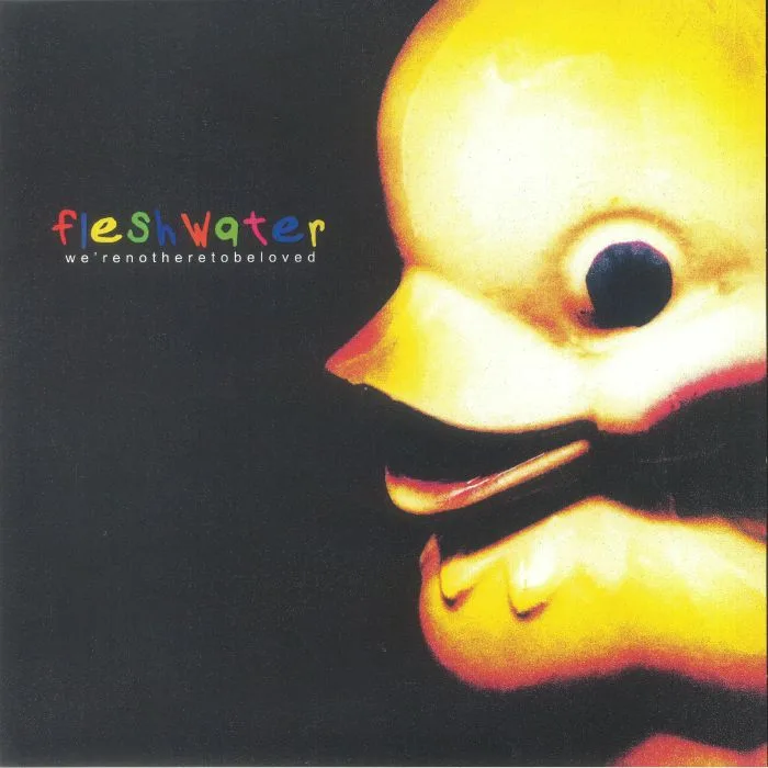 FLESHWATER — We're Not Here To Be Loved