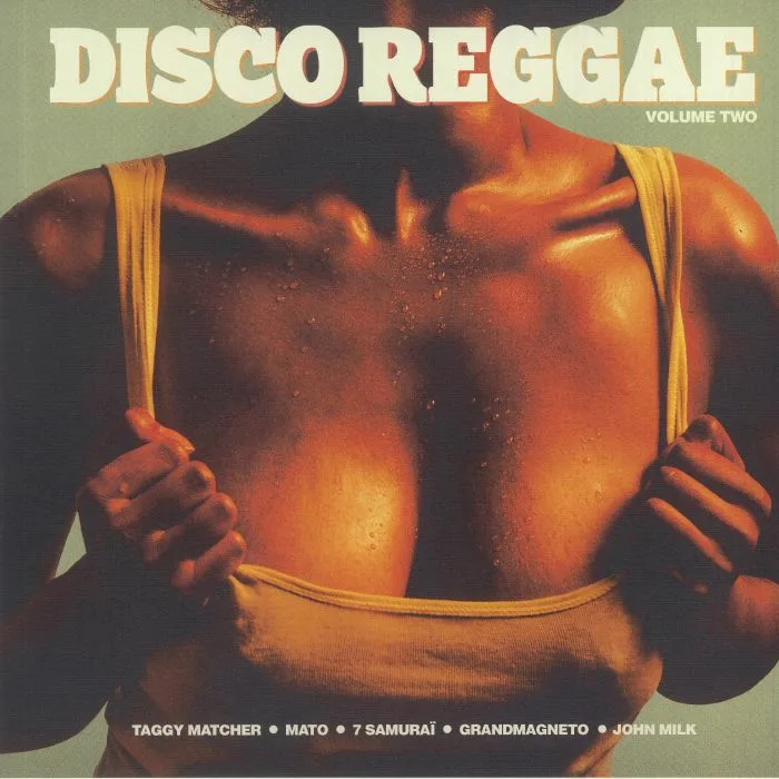 Лицевая сторона обложки — VARIOUS — Disco Reggae Vol 2