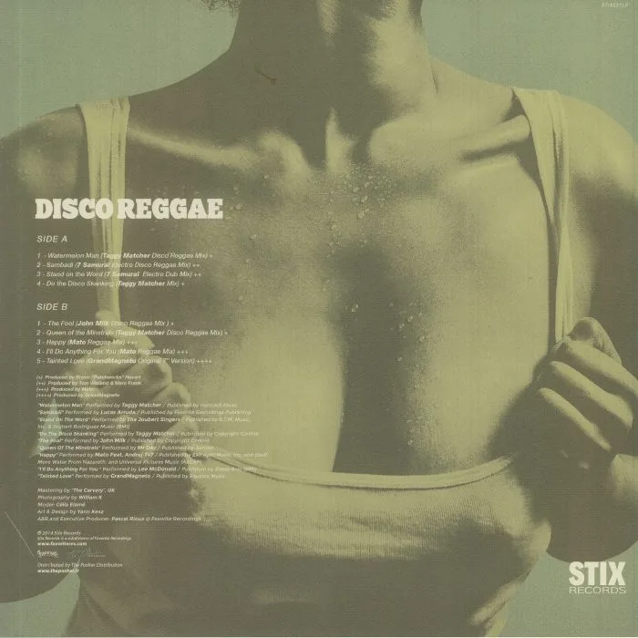Обратная сторона обложки — VARIOUS — Disco Reggae Vol 2