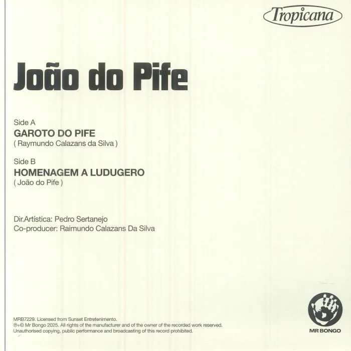 Обратная сторона обложки — Joao DO PIFE — Garoto Do Pife