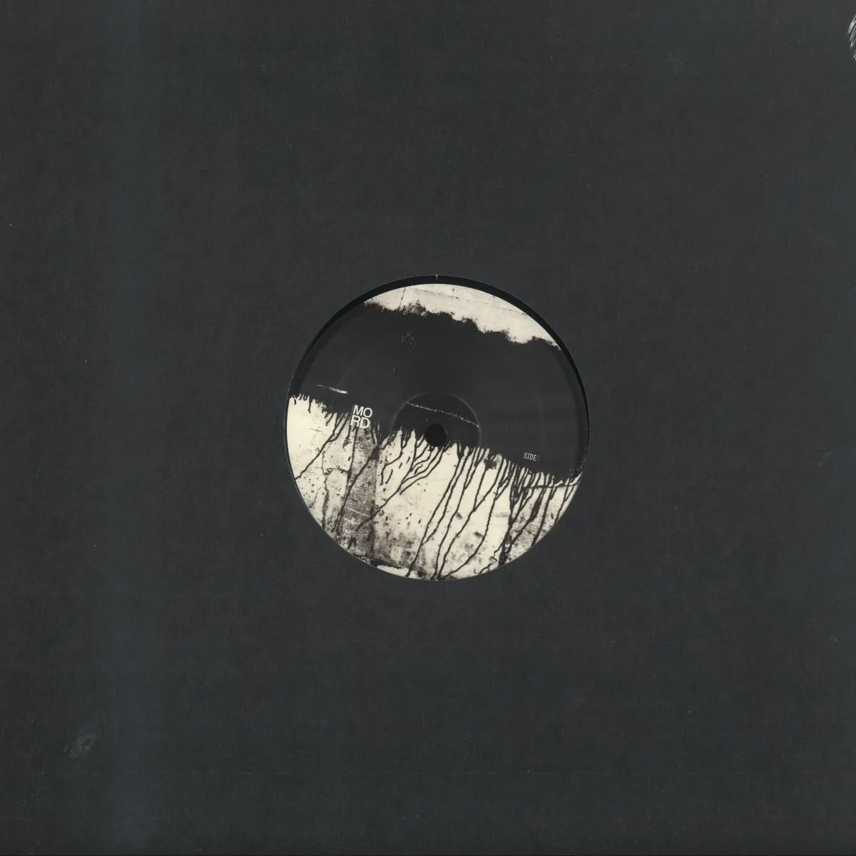 Sleeparchive — Senza Titolo