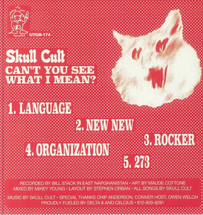 Обратная сторона обложки — SKULL CULT — Can't You See What I Mean?