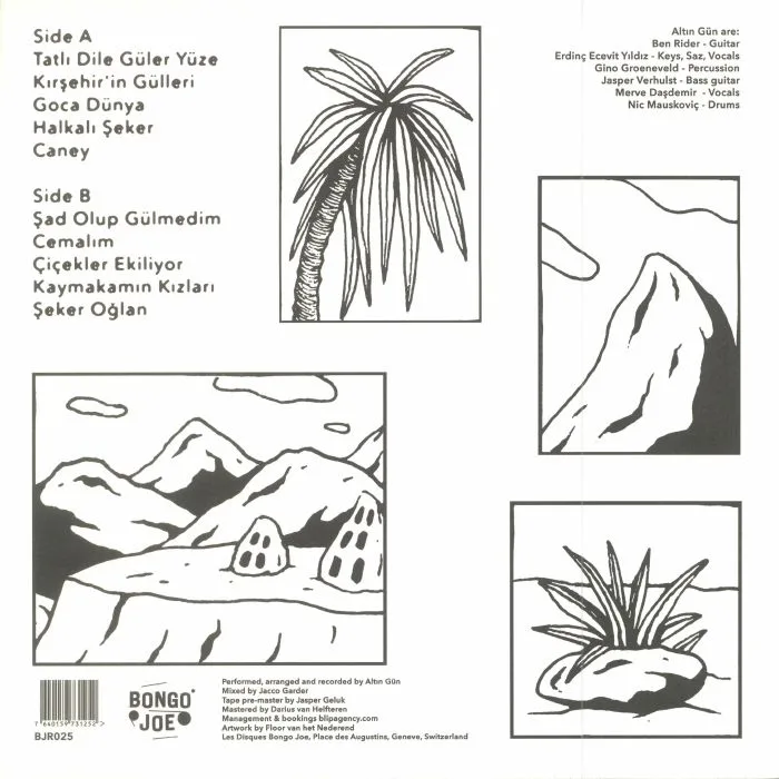 Back cover — ALTIN GUN — On
