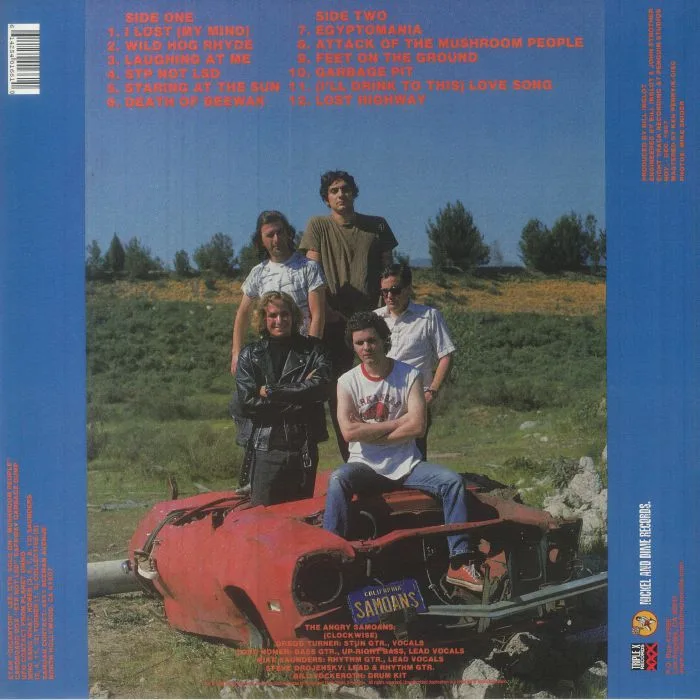 Back cover — ANGRY SAMOANS — STP Not LSD