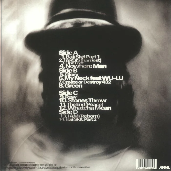 Back cover — GREENTEA PENG — Tell Dem It's Sunny