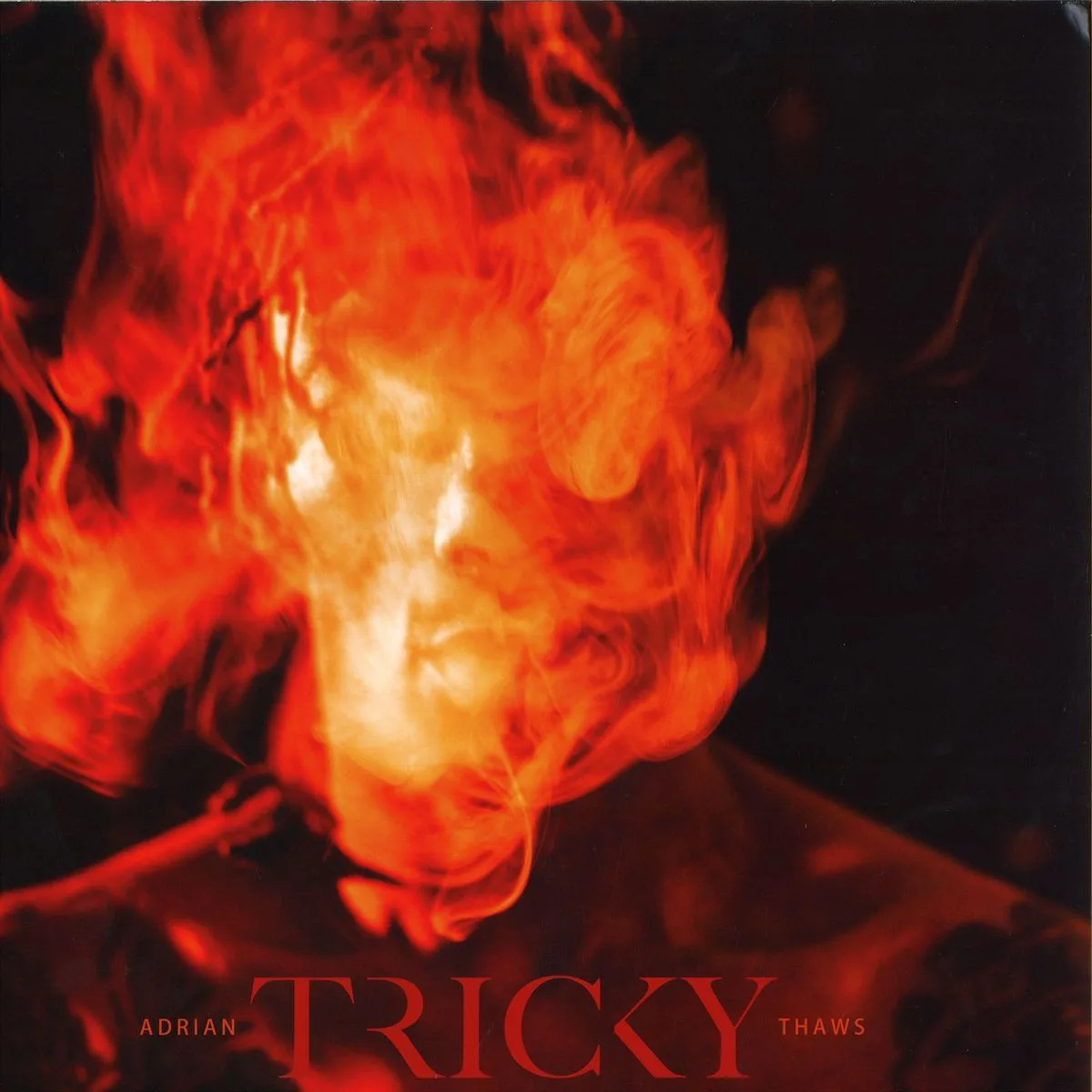 Tricky — Adrian Thaws LP 2x12"
