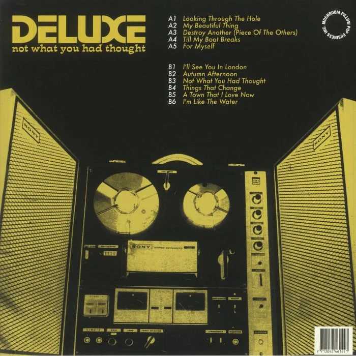 Обратная сторона обложки — DELUXE — Not What You Had Thought