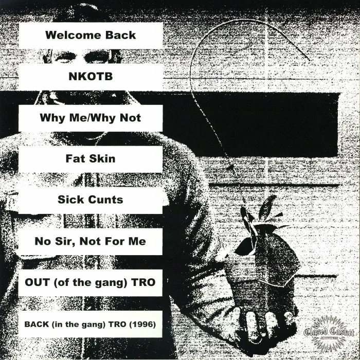 Back cover — SKINHEAD — Everything Was Beautiful & Nothing Hurt