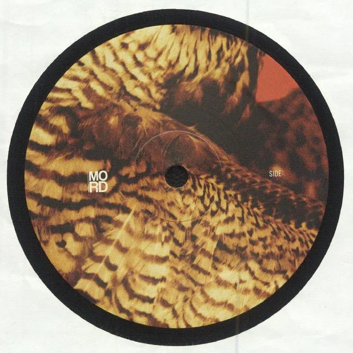 Лицевая сторона обложки — AMORPHIC / TENSAL — Highland Frequencies EP