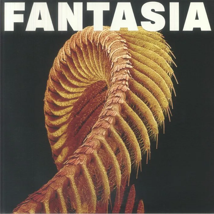 Лицевая сторона обложки — SLIFT — Fantasia (Loser Edition)