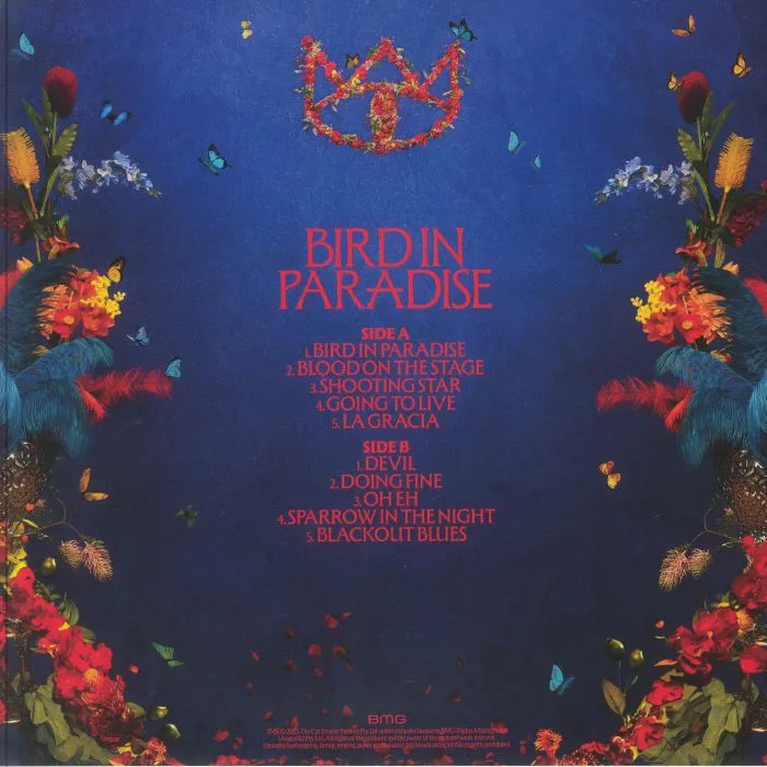 Back cover — The CAT EMPIRE — Bird In Paradise