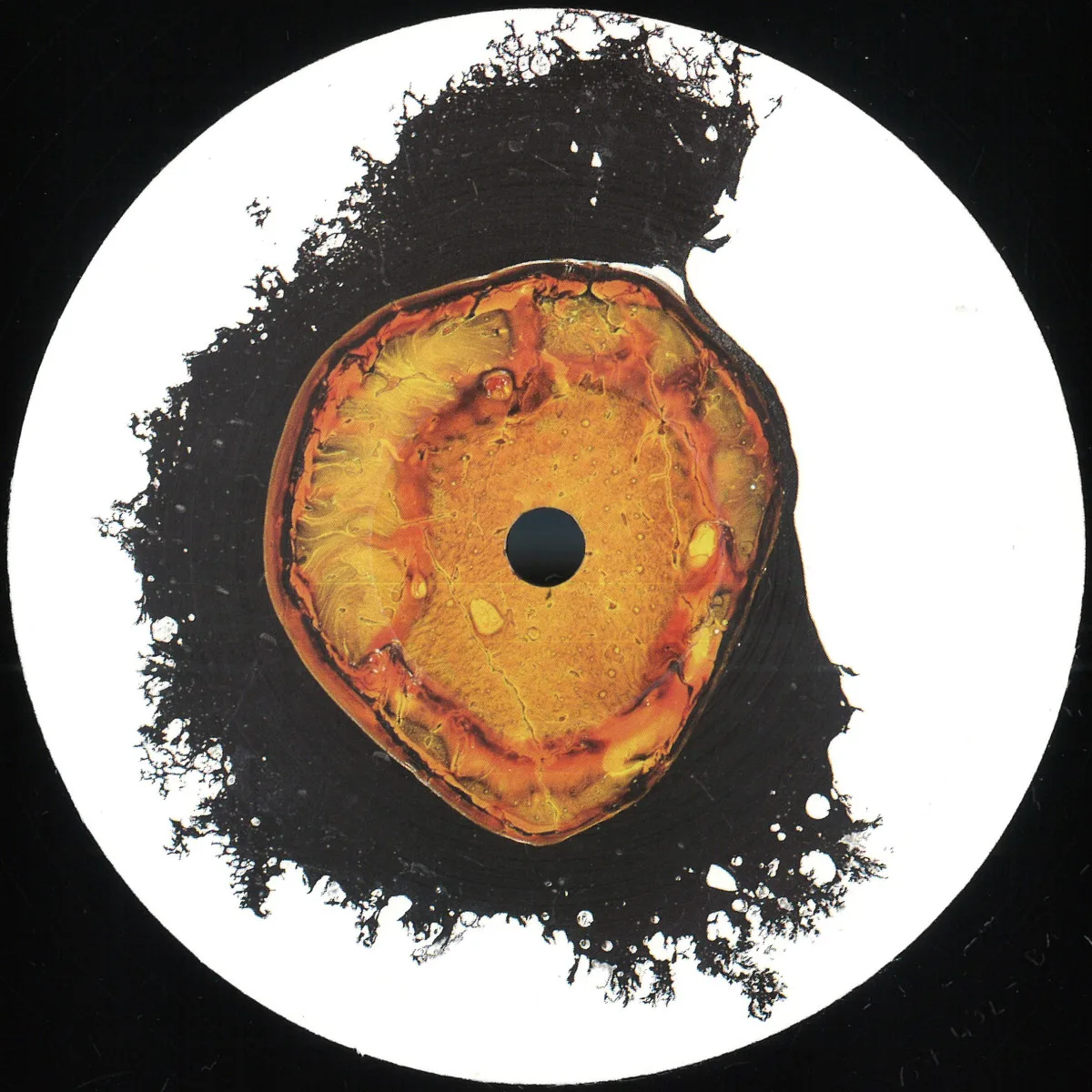 Various — Cut-Line VA001