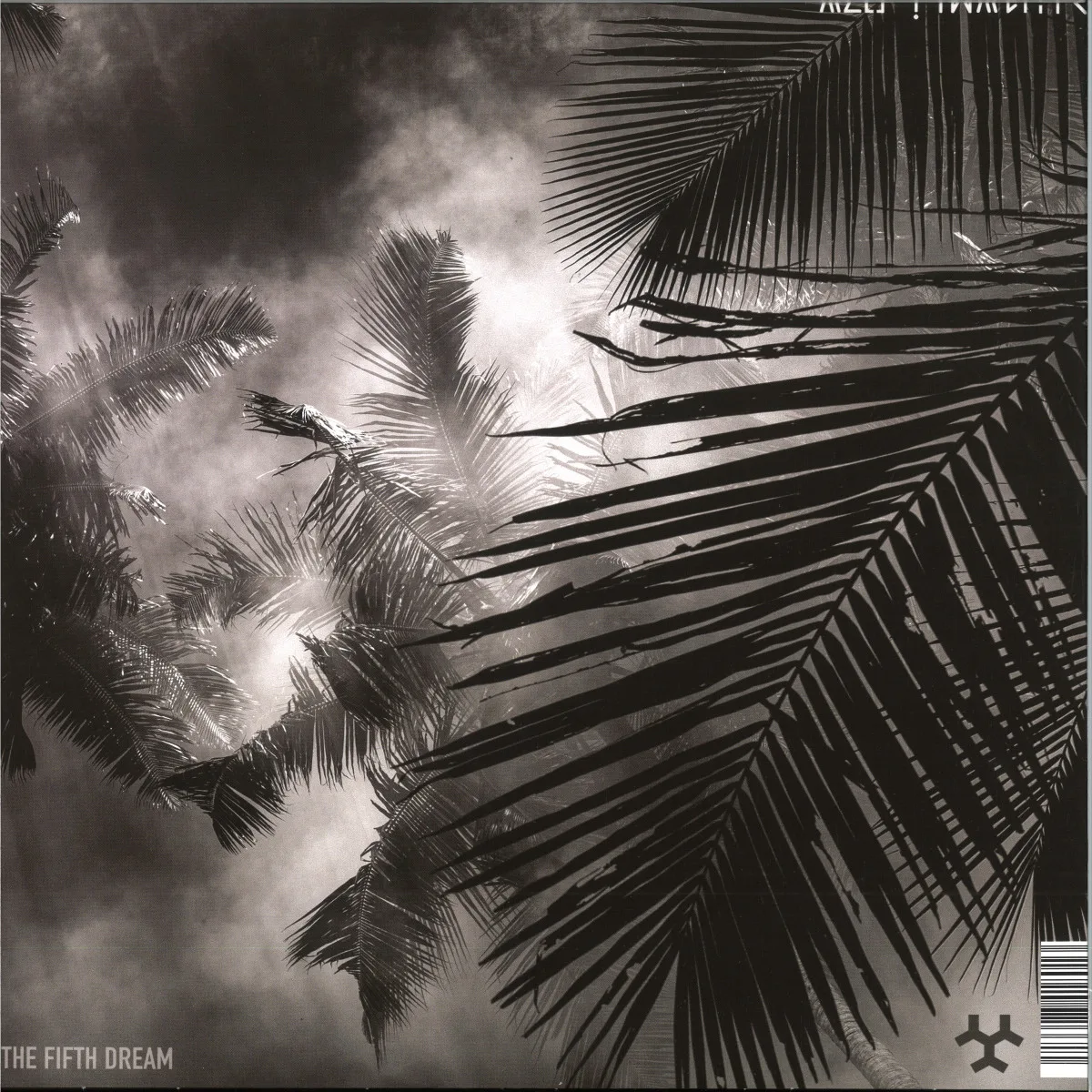 Back cover — Azu Tiwaline — The Fifth Dream LP 2x12"