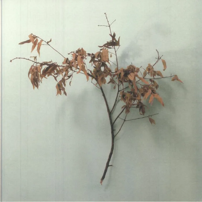 COPELAND — In Motion (20th Anniversary Edition)
