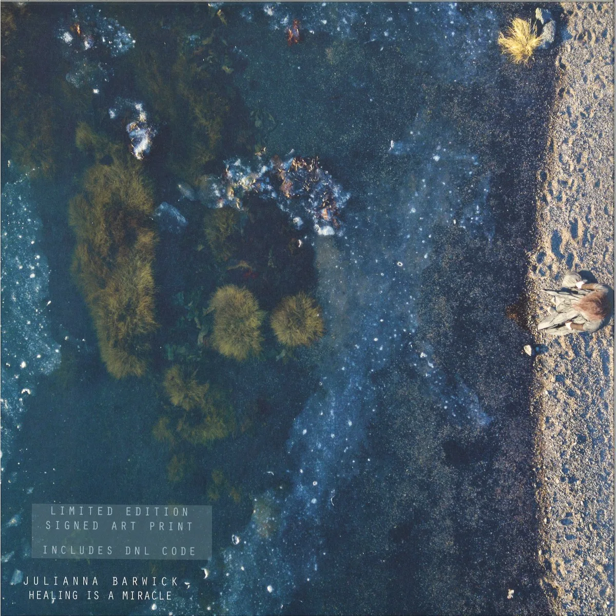 Julianna Barwick — Healing Is A Miracle