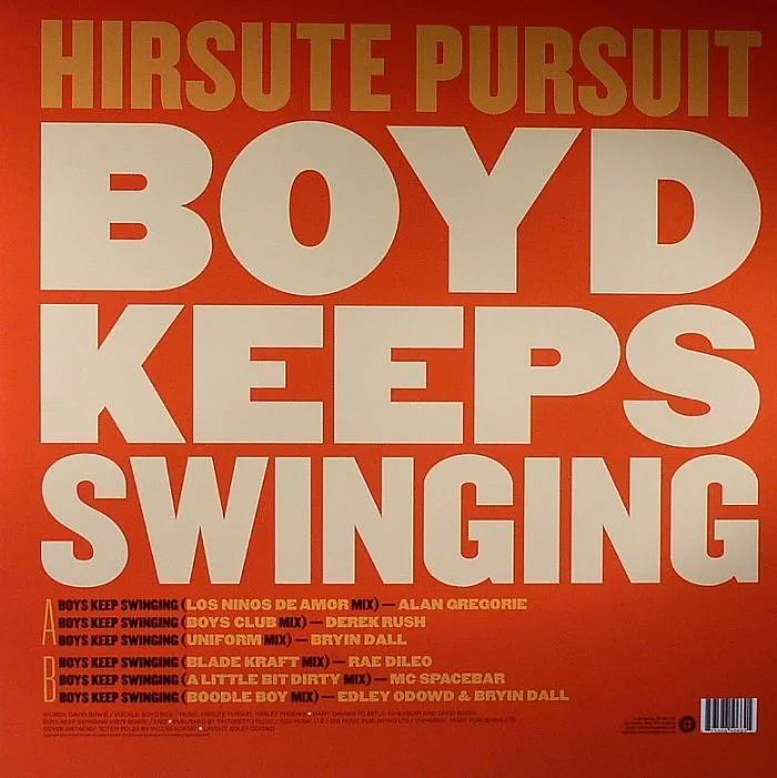 Back cover — HIRSUTE PURSUIT feat BOYD RICE — Boys Keeps Swinging