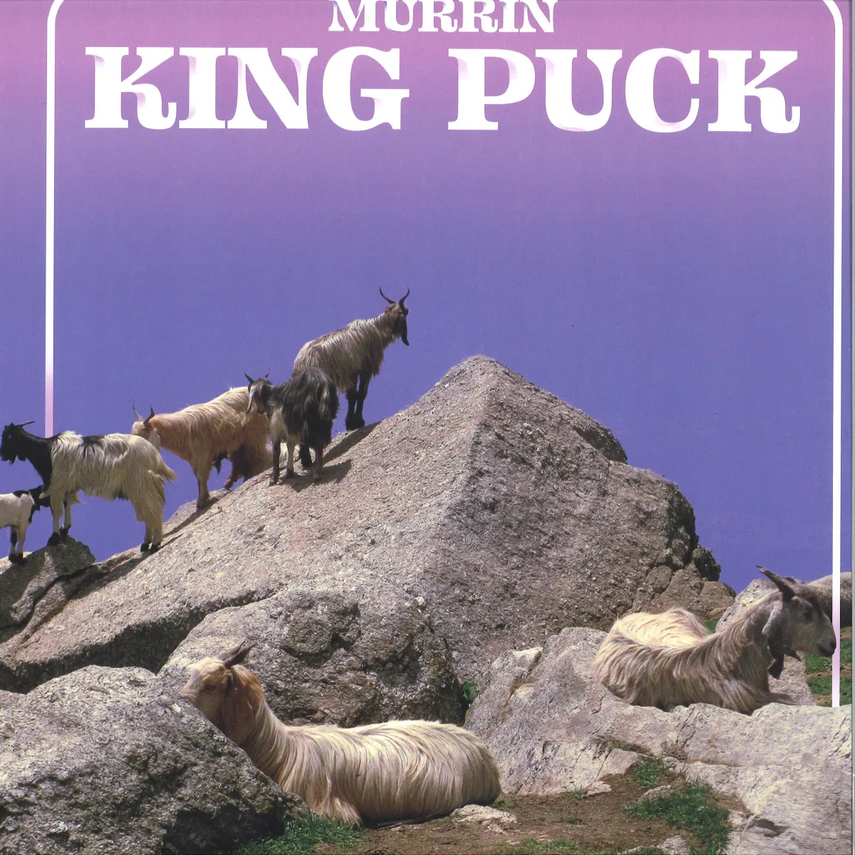 Front cover — Murrin — King Puck