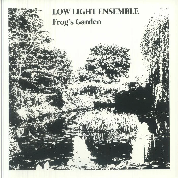 LOW LIGHT ENSEMBLE — Frog's Garden