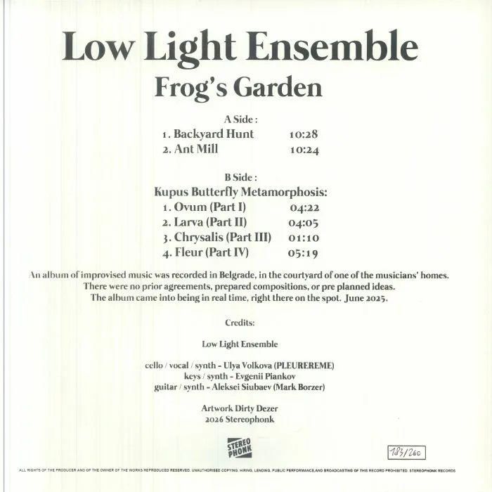 Обратная сторона обложки — LOW LIGHT ENSEMBLE — Frog's Garden