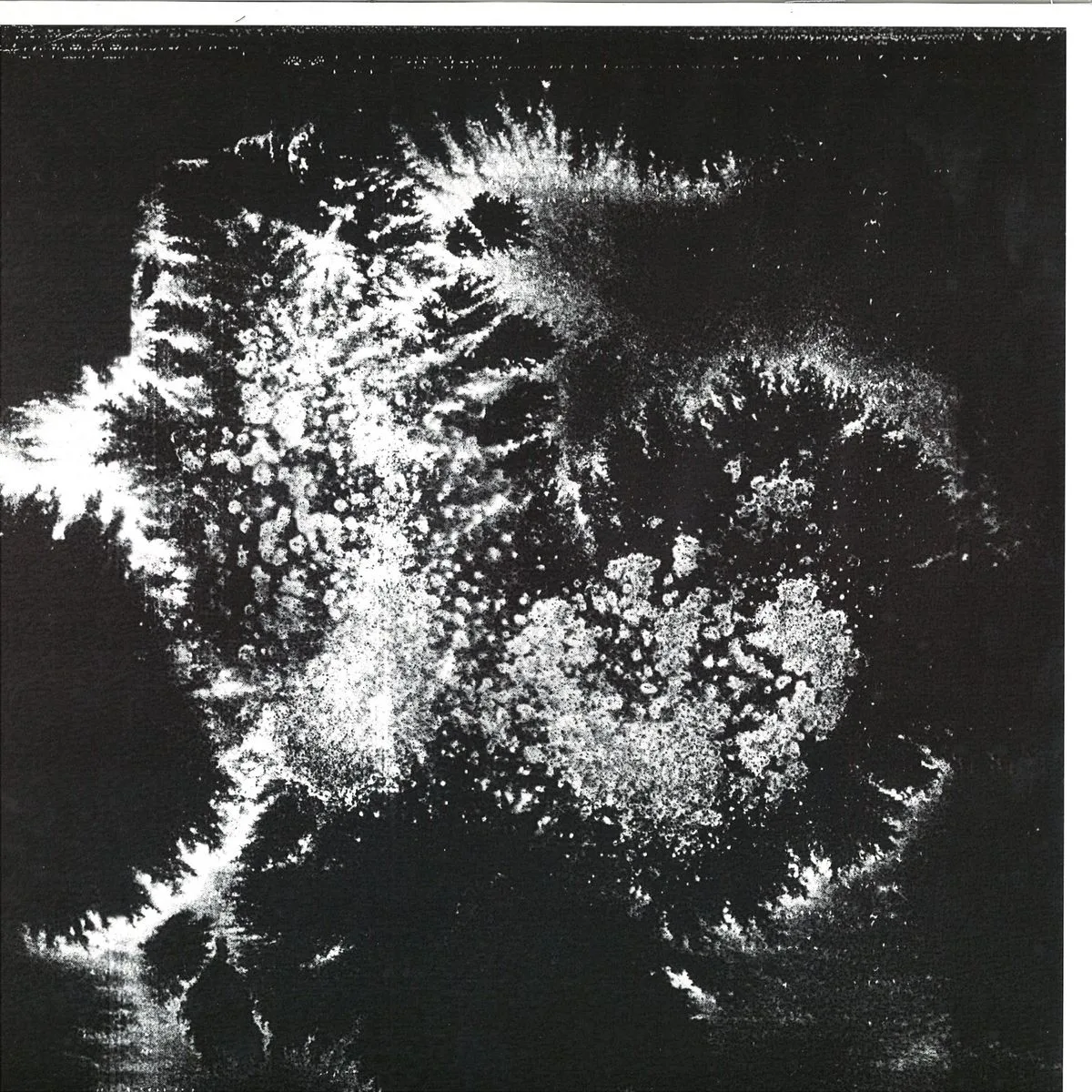 Front cover — Vera Dvale & Psykovarius — Udu