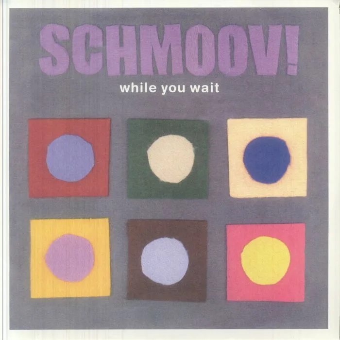 Лицевая сторона обложки — Schmoov! — While You Wait LP 2x12"