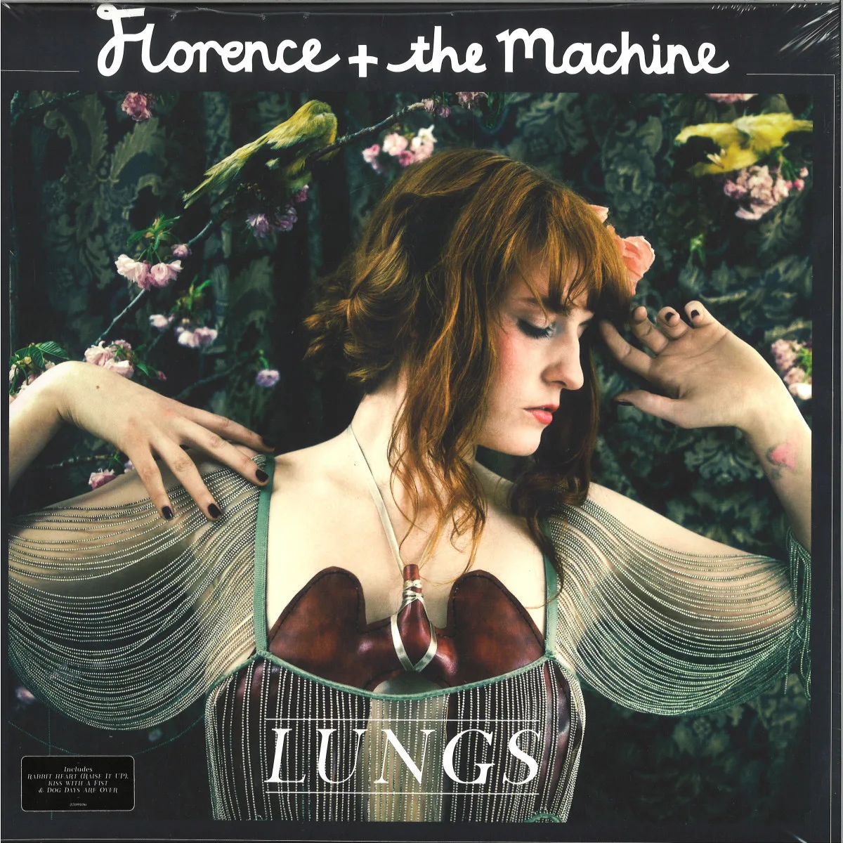 Florence&The Machine — Lungs