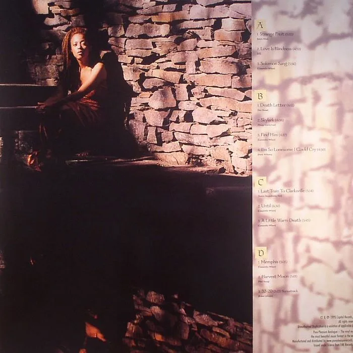 Обратная сторона обложки — Cassandra WILSON — New Moon Daughter