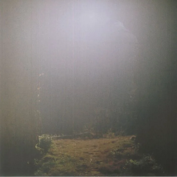 Shin SASAKUBO — Venus Penguin