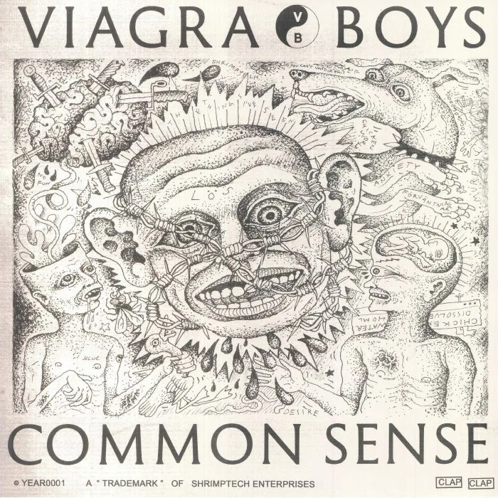 VIAGRA BOYS — Common Sense