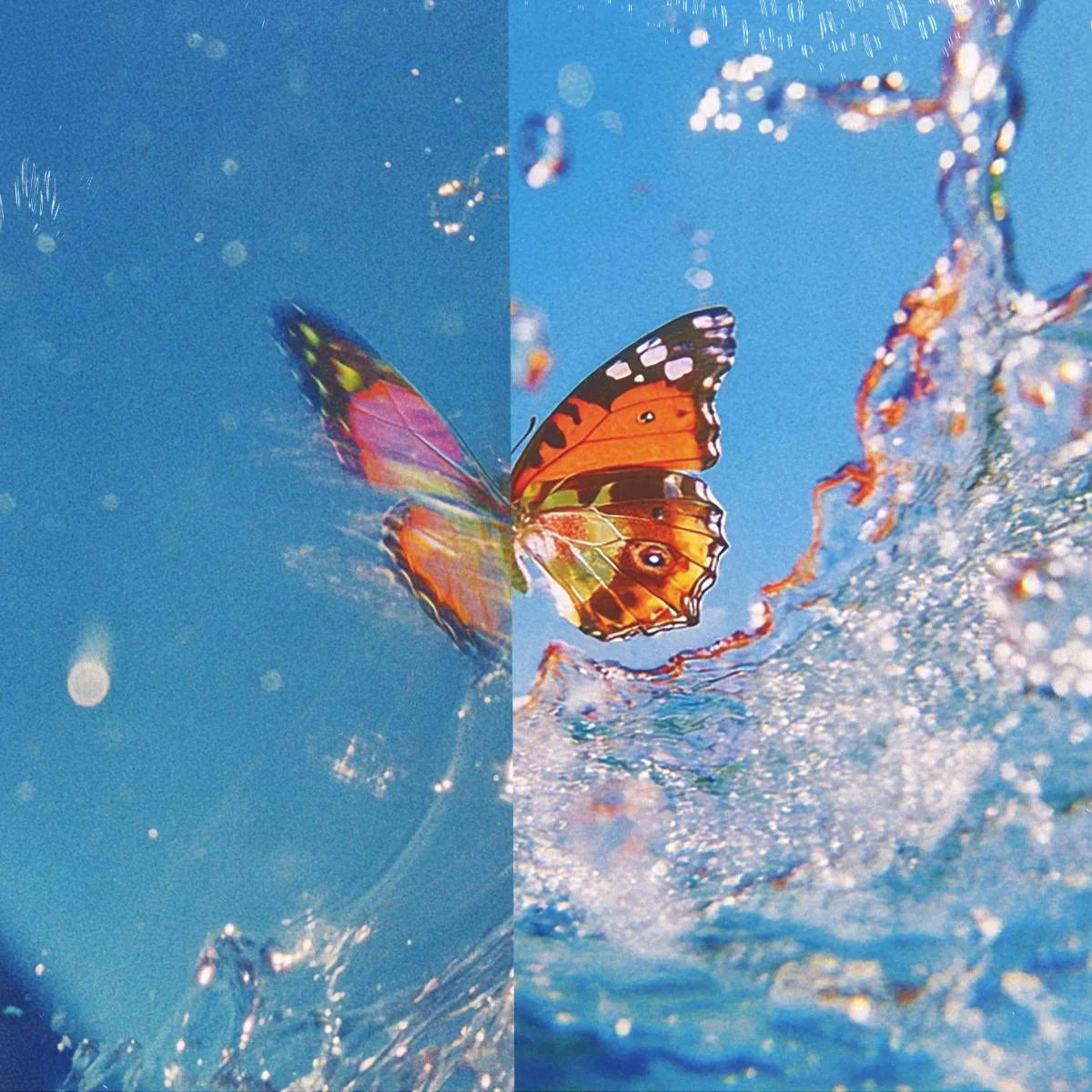 Back cover — Daphni — Butterfly LP 2x12"