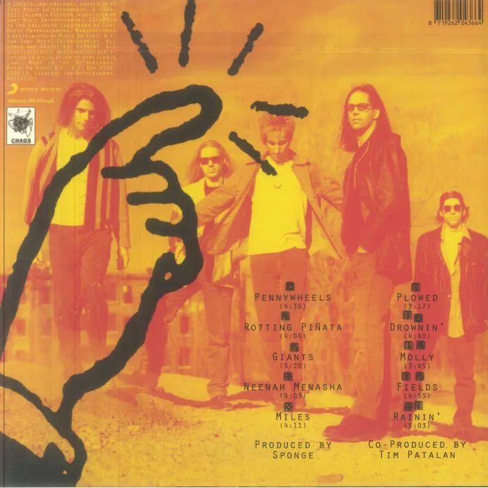 Back cover — SPONGE — Rotting Pinata