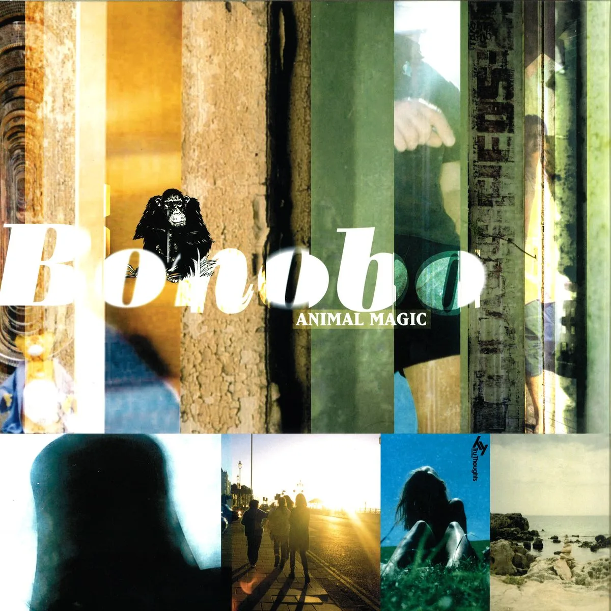 Bonobo — Animal Magic Lp