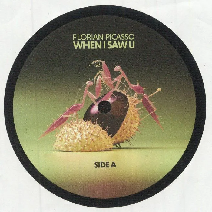 Front cover — Florian PICASSO — When I Saw U