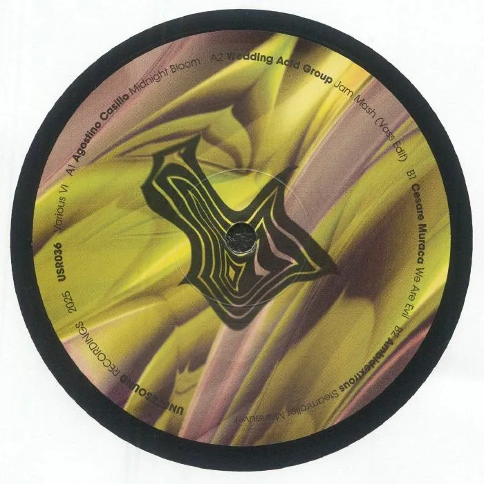 Лицевая сторона обложки — Agostino CASILLO / WEDDING ACID GROUP / CESARE MURACA / AMBIDEXTROUS — Various VI