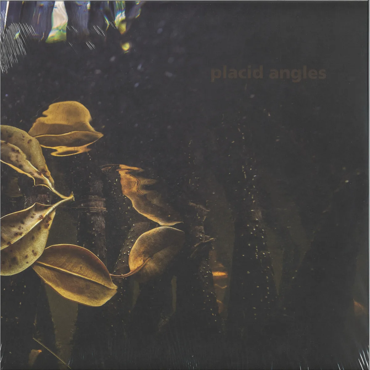 Placid Angles — Touch The Earth 3x12"