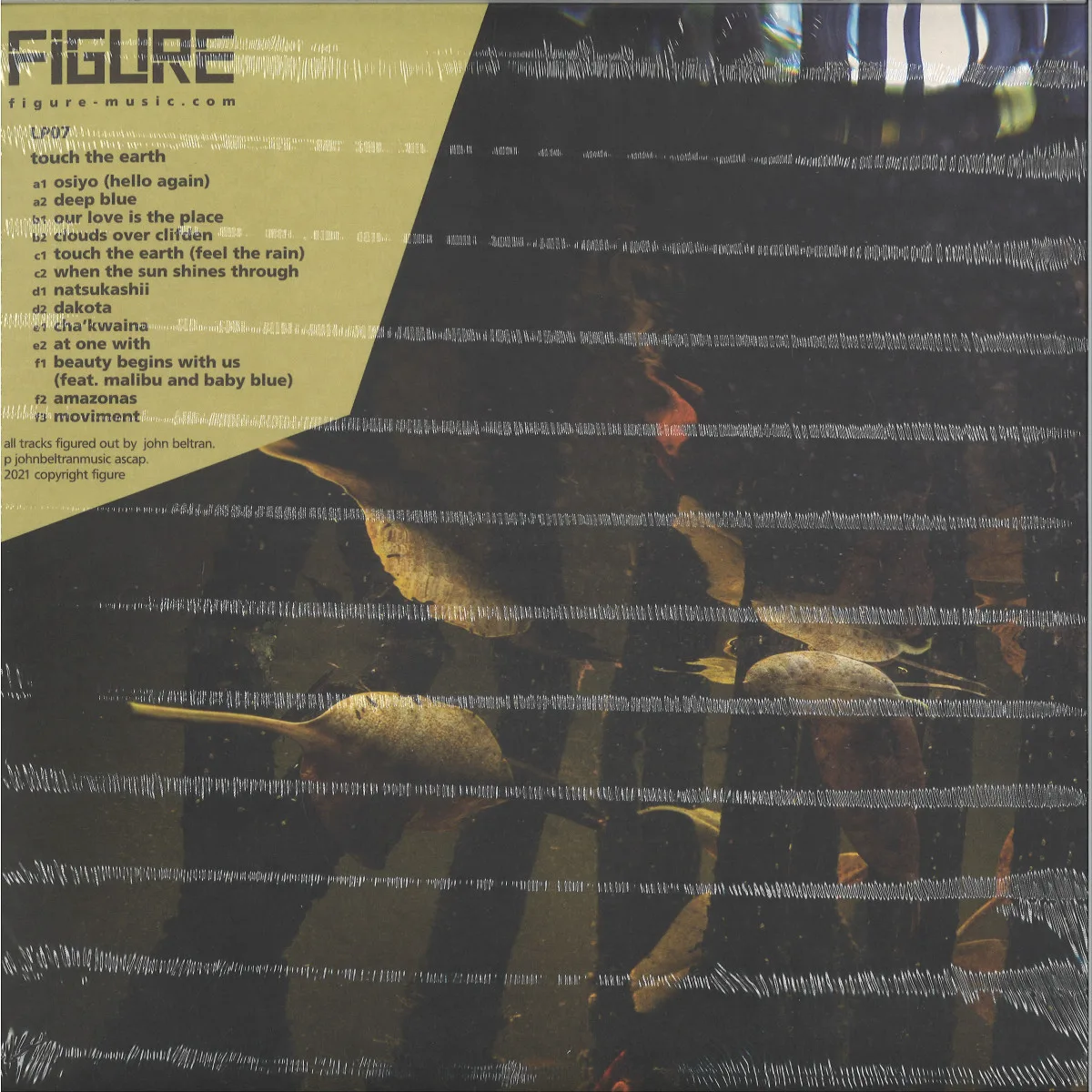 Back cover — Placid Angles — Touch The Earth 3x12"