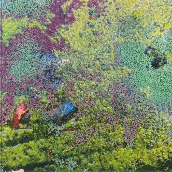 Rob MAZUREK — Nestor's Nest