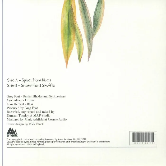 Back cover — Greg FOAT — Spider Plant Blues