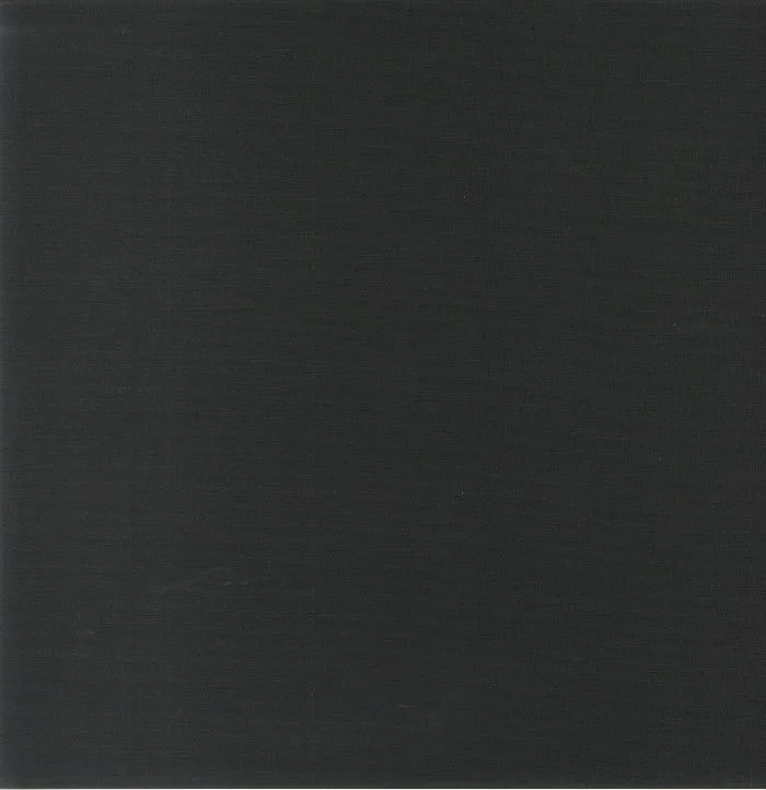 Back cover — BEASTIE BOYS — Check Your Head (30th Anniversary Edition)