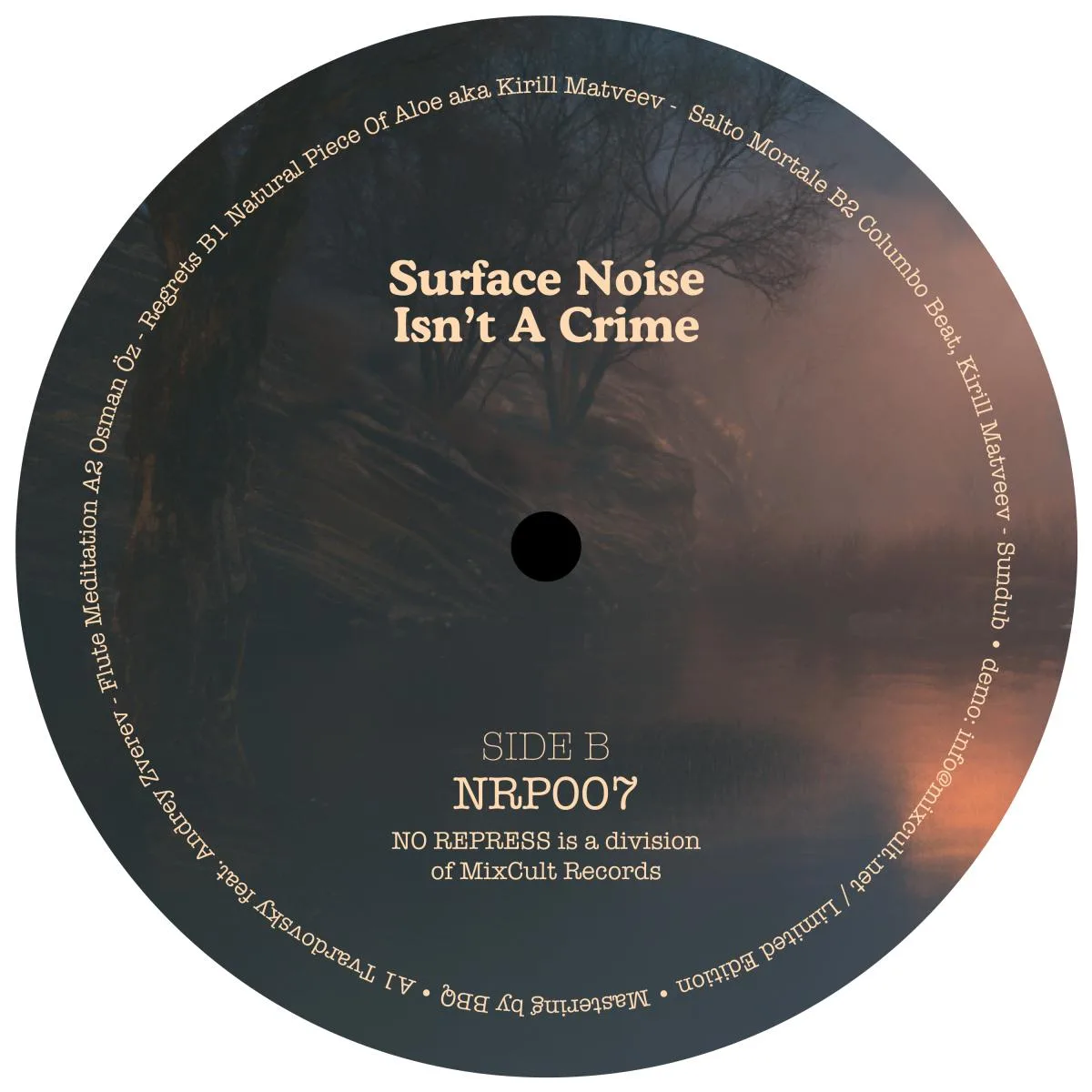 Обратная сторона обложки — Various — Surface Noise Isn’t A Crime