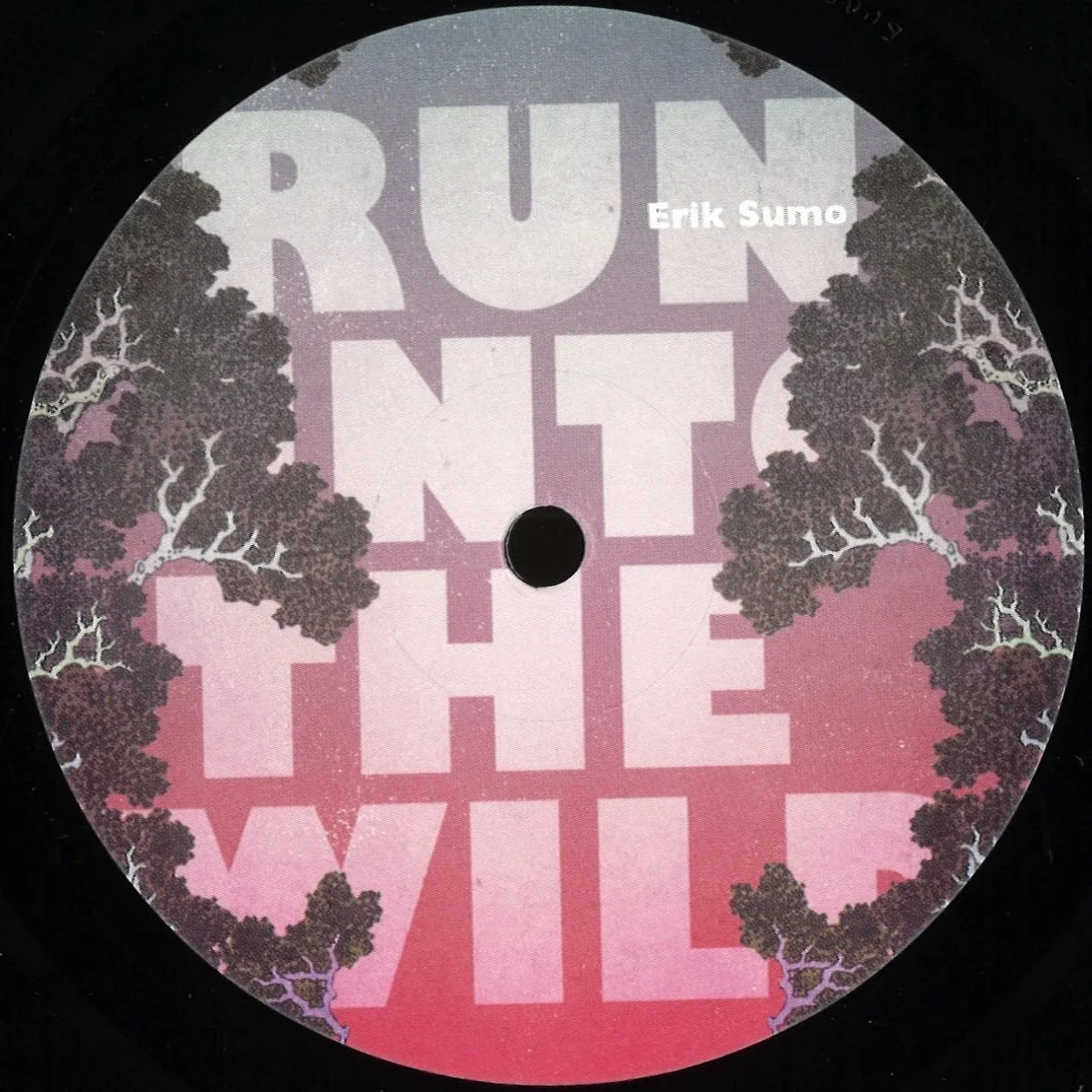 Erik Sumo — RUN INTO THE WILD