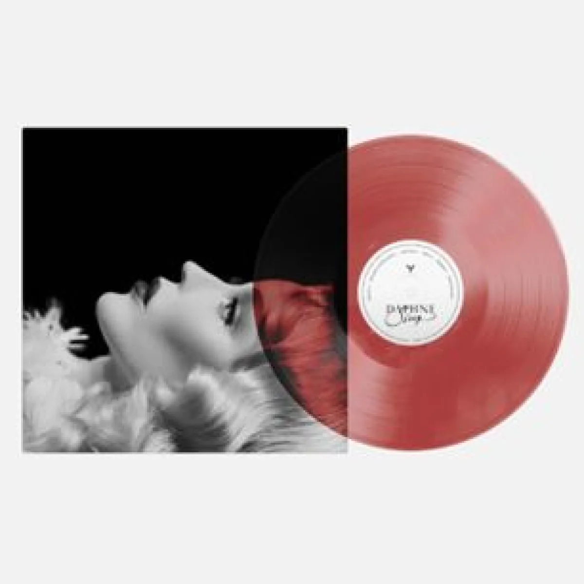 Лицевая сторона обложки — Daphne Guinness — Sleep LP