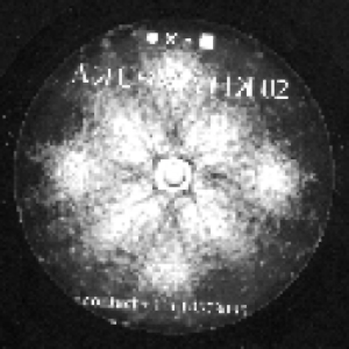 Sammy, Oreille Interne — Akusmatik 02