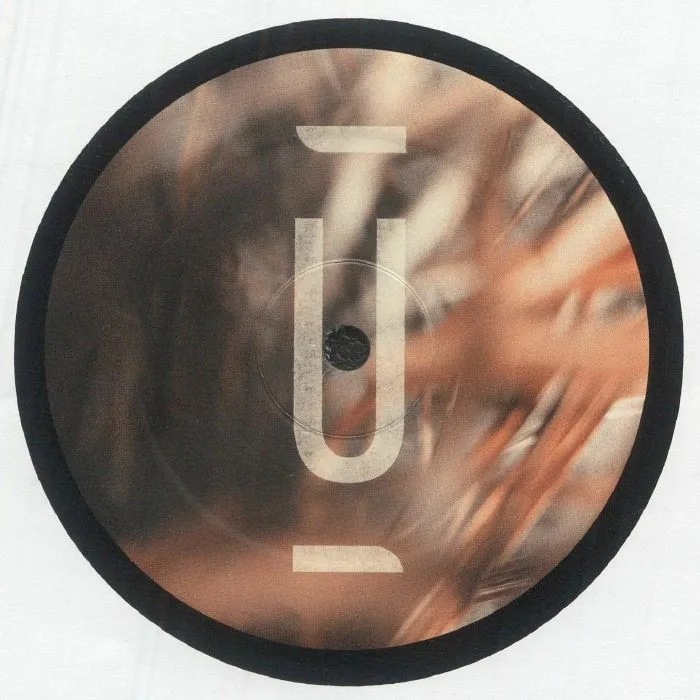 Back cover — SEDVS — Teorema