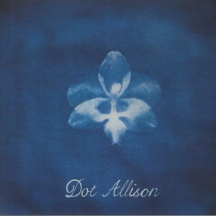 Dot ALLISON — Ghost Orchid