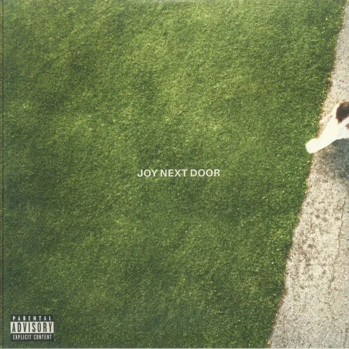 The MAINE — Joy Next Door