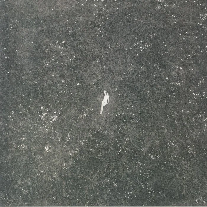 BIRDS OF PASSAGE — The Last Garden