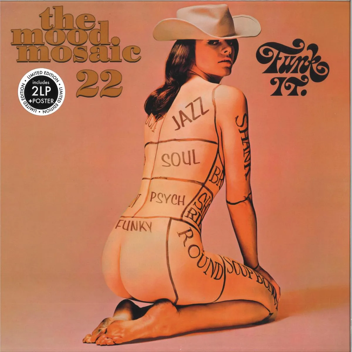 Various — the mood mosaic 22 LP 2x12"