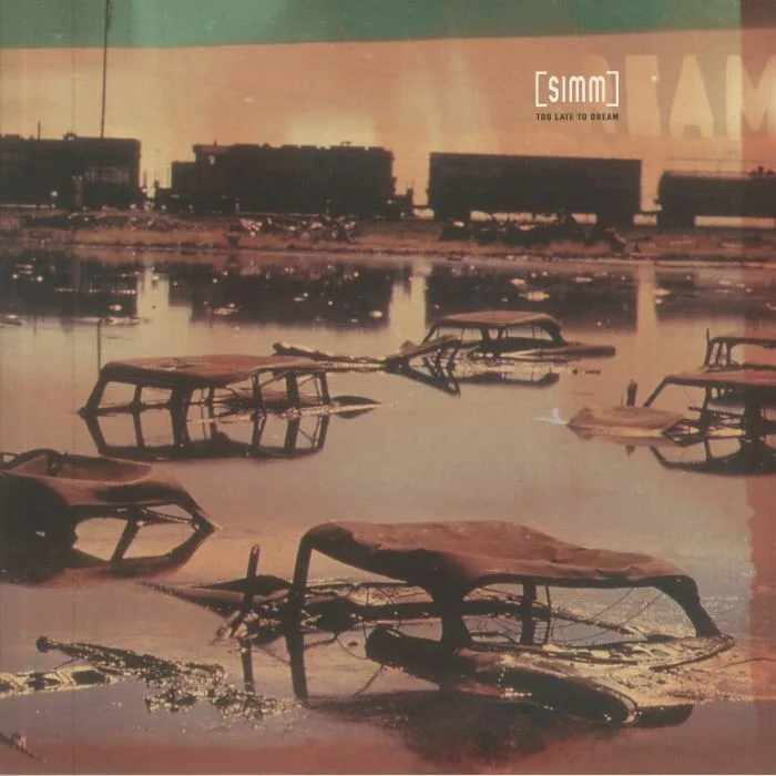 SIMM — Too Late To Dream